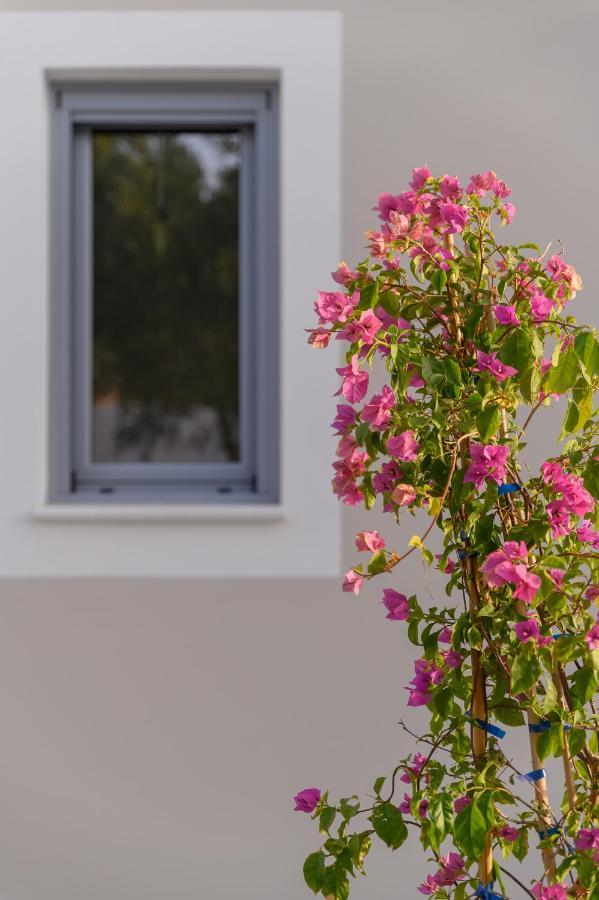 Dionisos Suites Lixouri Zewnętrze zdjęcie